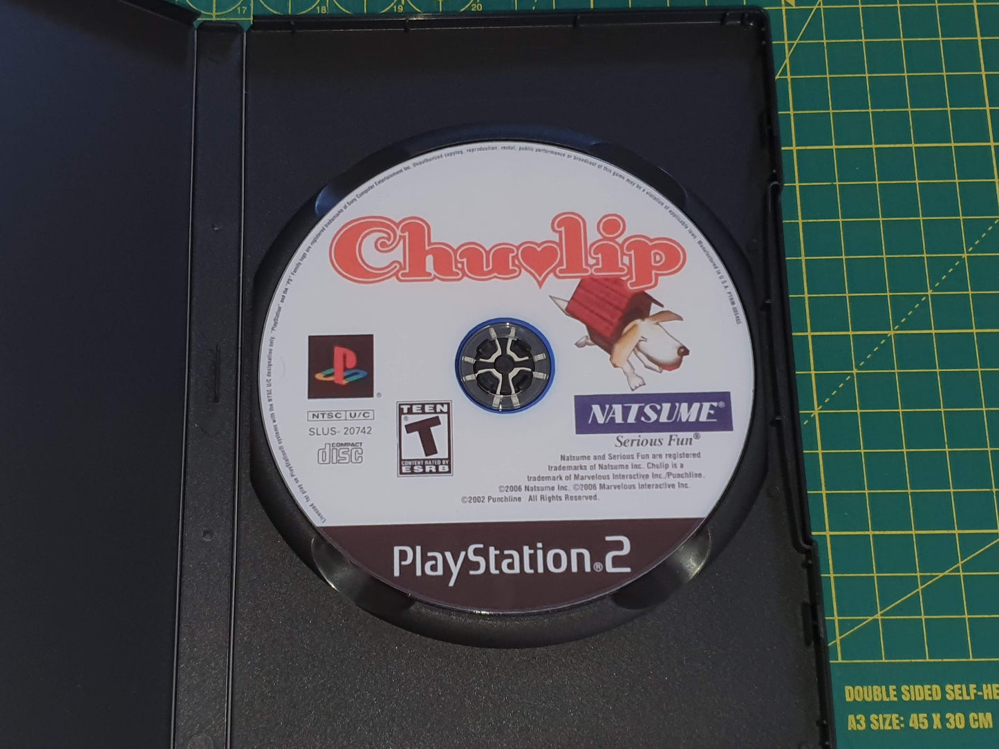 Chulip