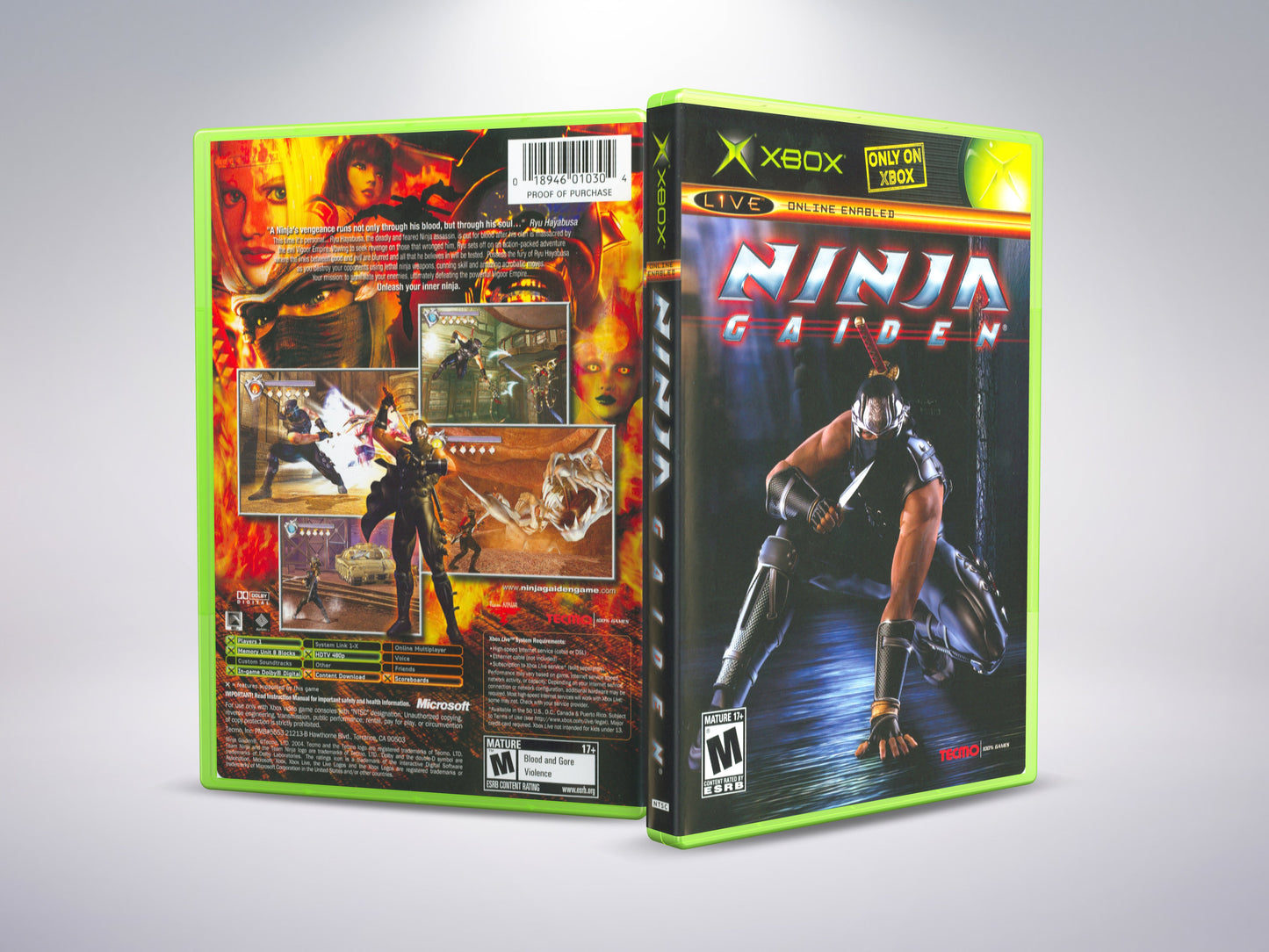Ninja Gaiden