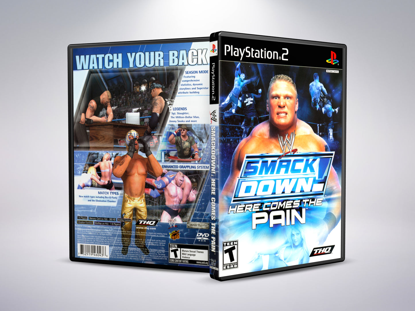 WWE SmackDown: Here Comes The Pain