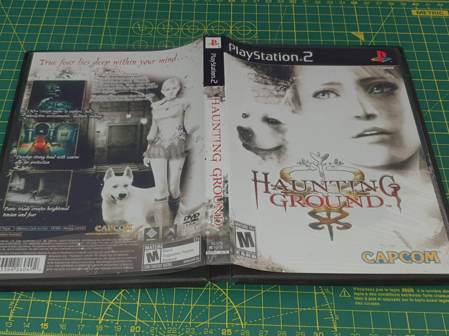 Haunting Ground