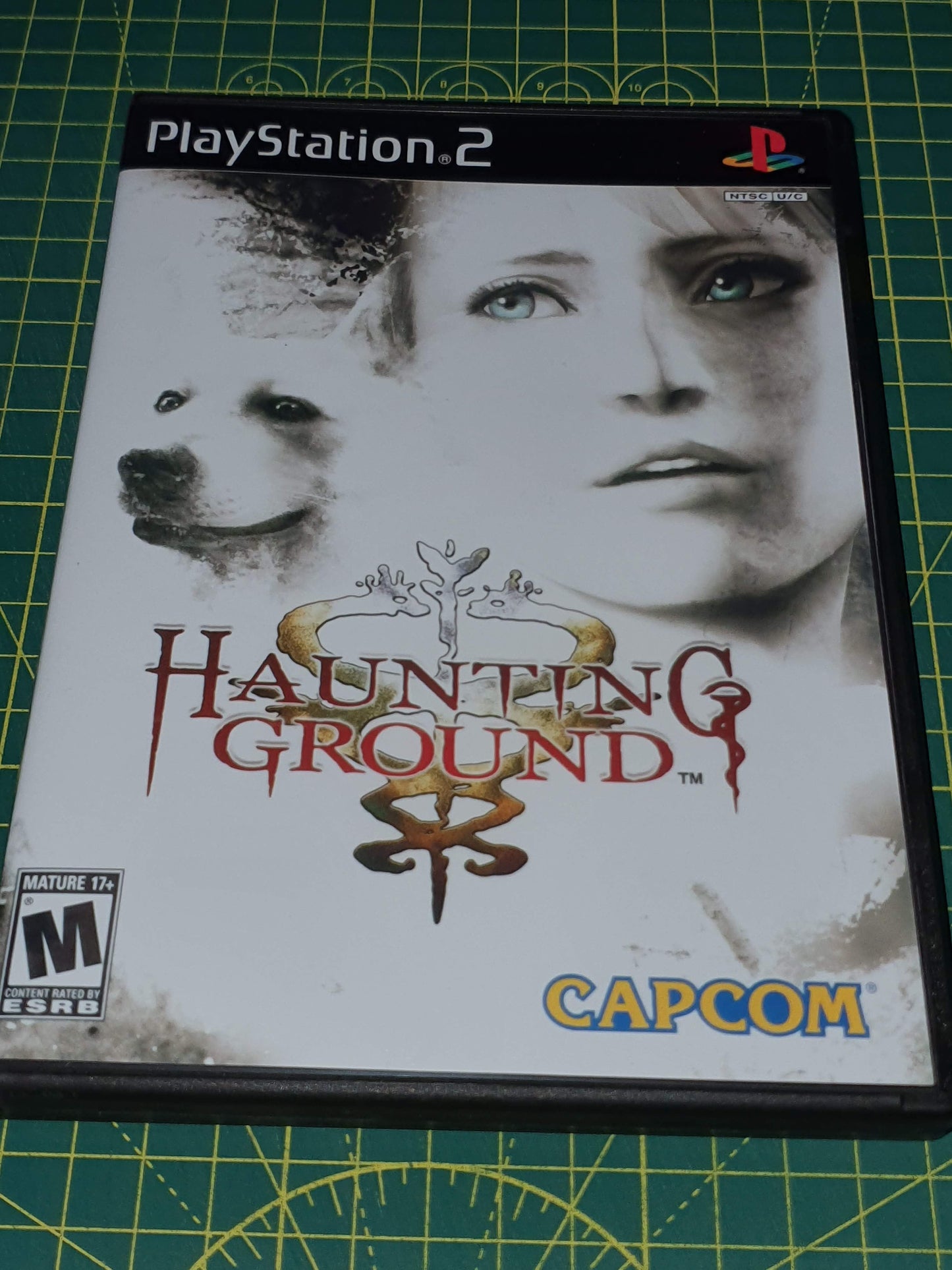 Haunting Ground