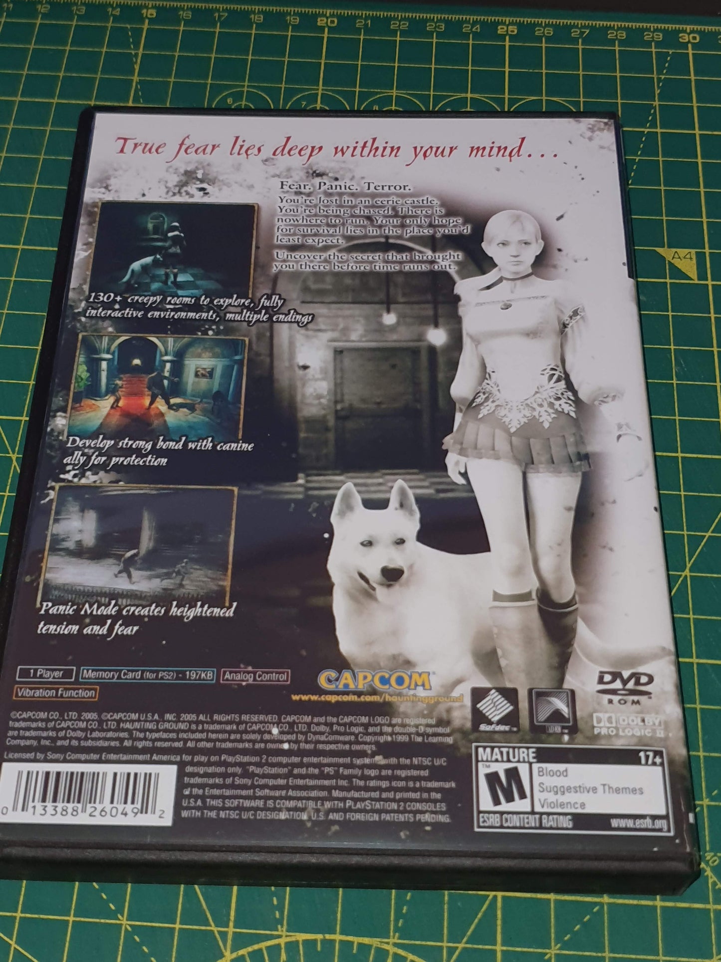 Haunting Ground